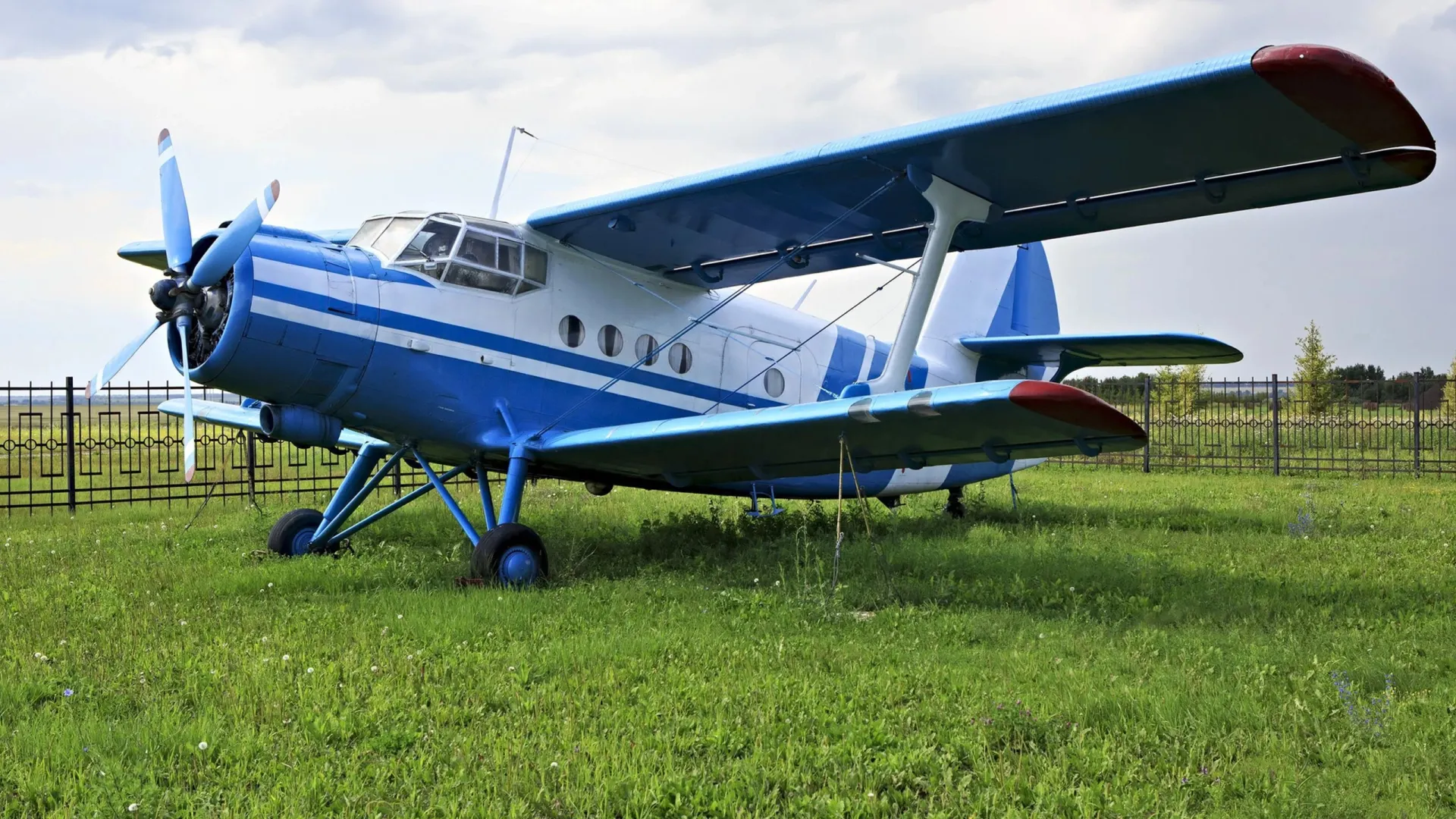 Фото: yykkaa/Shutterstock/Fotodom