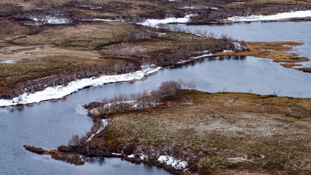 Фото: Freepik.com