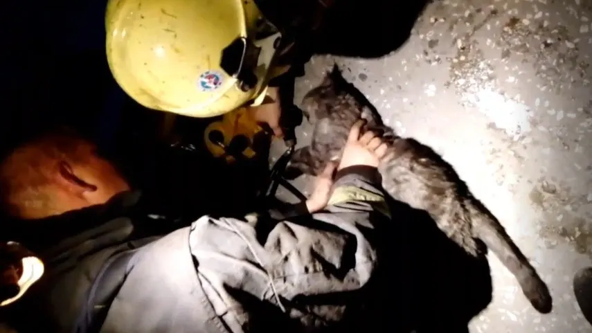 Фото: Андрей Романов/«Ямал-Медиа»