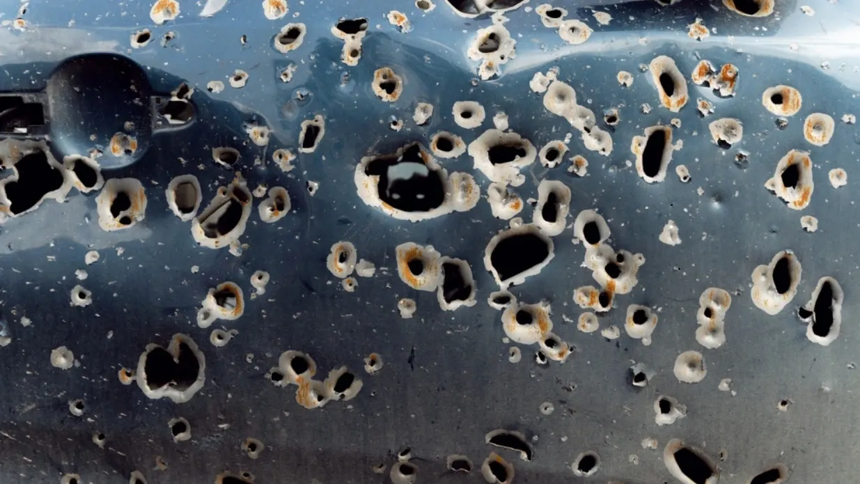 Shutterstock/Vadym_Hunko