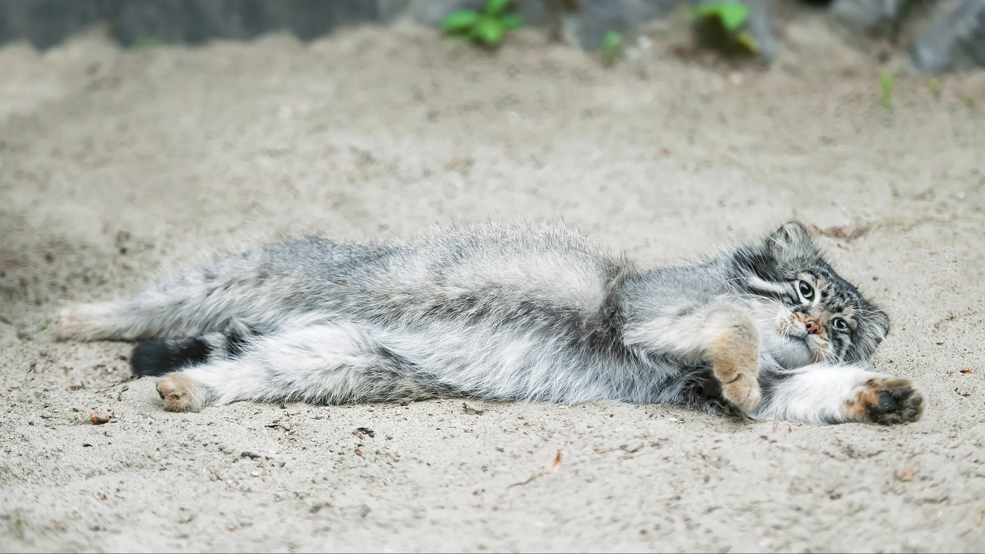 Фото: PaniYani/Shutterstock/Fotodom