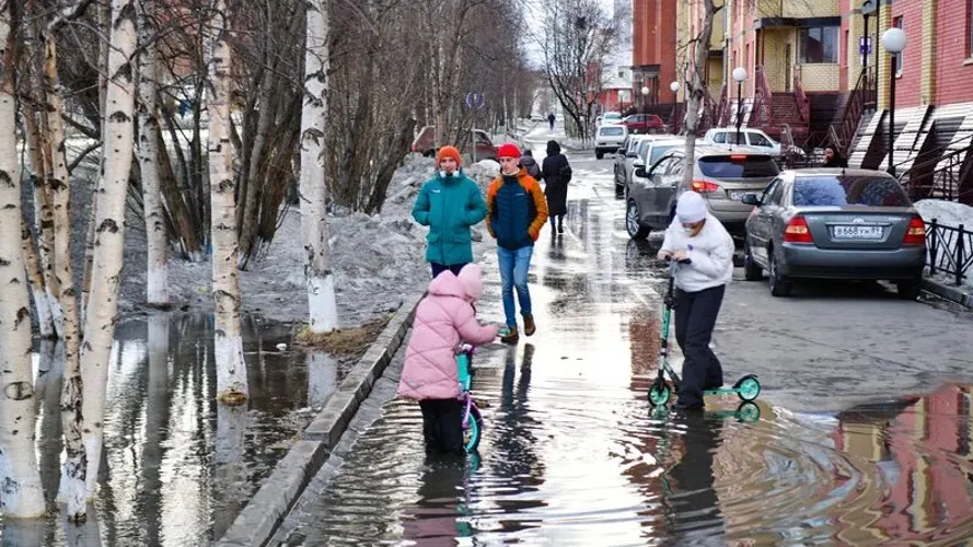 Фото: Андрей Ткачев/«Ямал-Медиа»