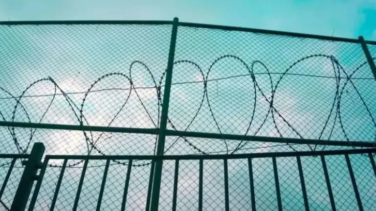 Фото: Akin Ozcan/Shutterstock/Fotodom