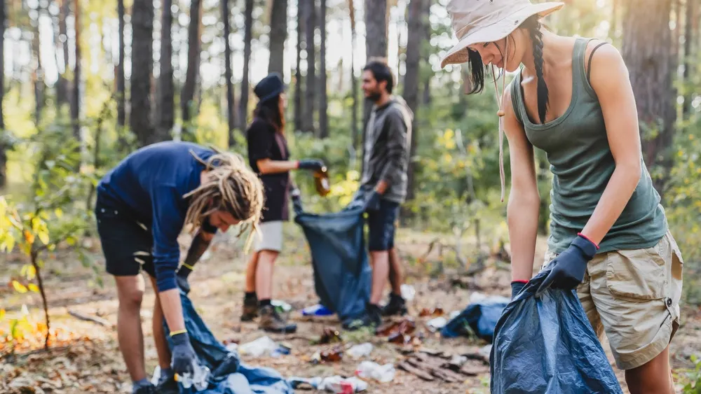 Фото: Inside Creative House/Shutterstock