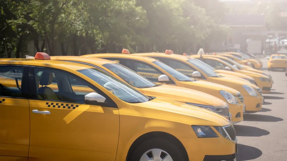 Фото: Sergey Mironov/Shutterstock/Fotodom