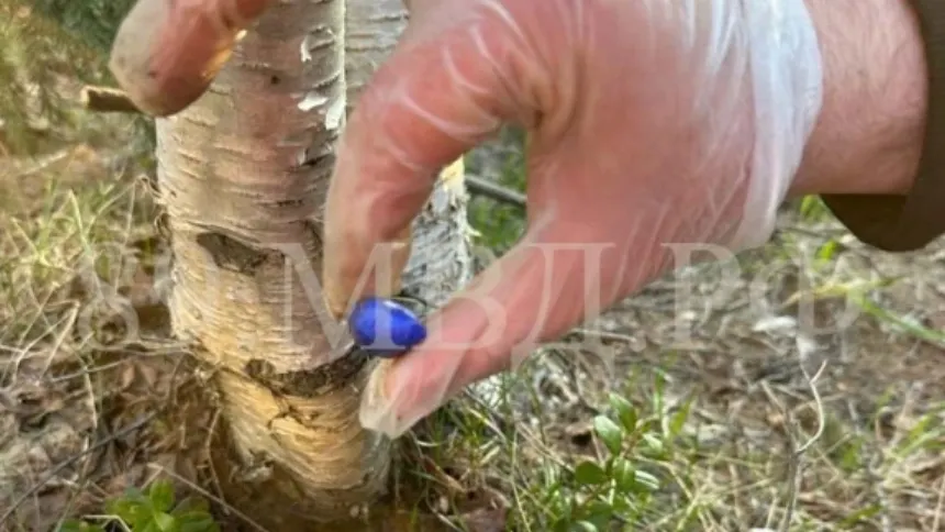 Фото предоставлено пресс-службой управления МВД по ЯНАО