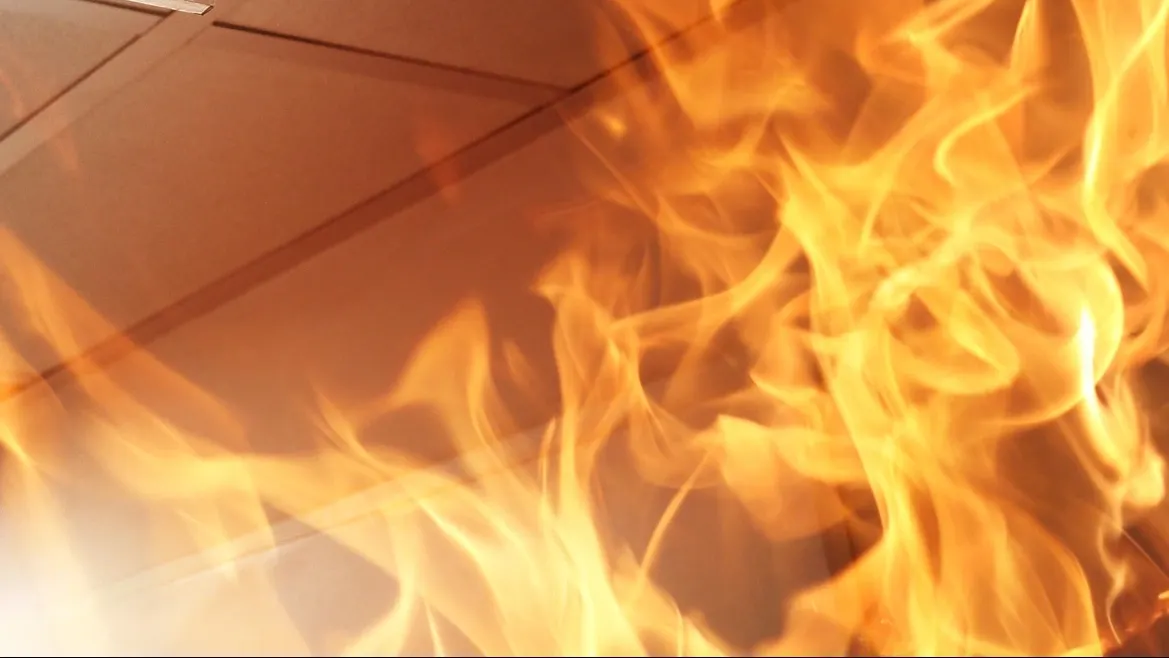 Фото: ambrozinio/Shutterstock/Fotodom