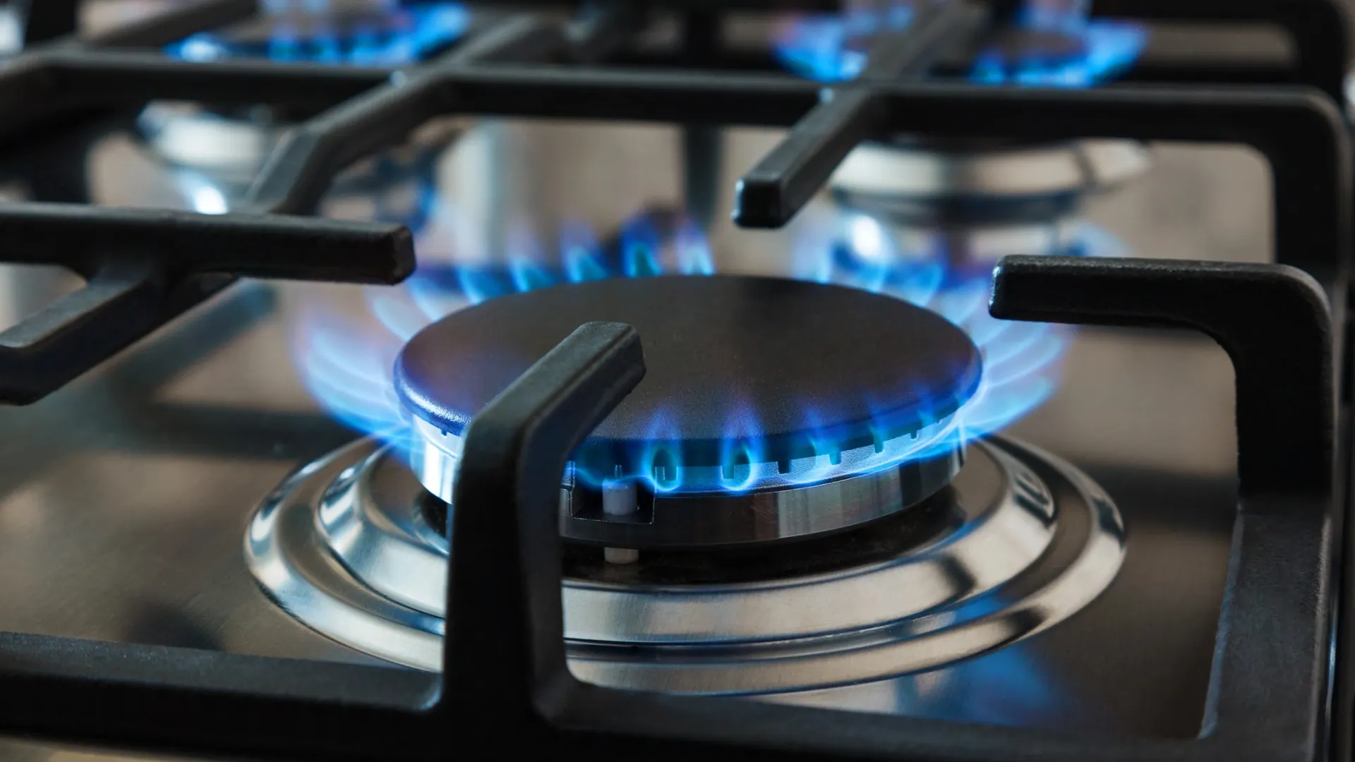 Фото: Mykhailo Baidala/Shutterstock/Fotodom