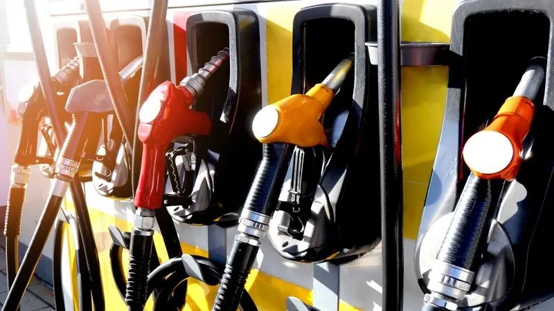 Фото: ThePowerPlant/Shutterstock/Fotodom