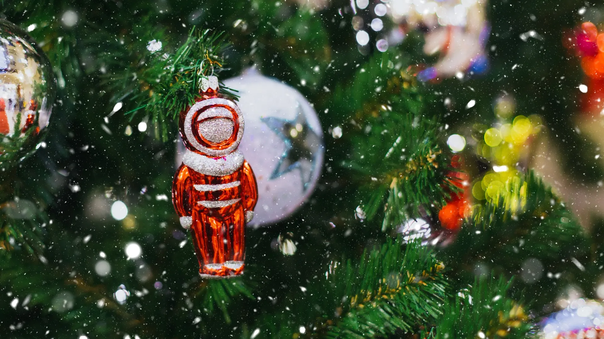 Фото: Evgeniia Primavera/Shutterstock/Fotodom