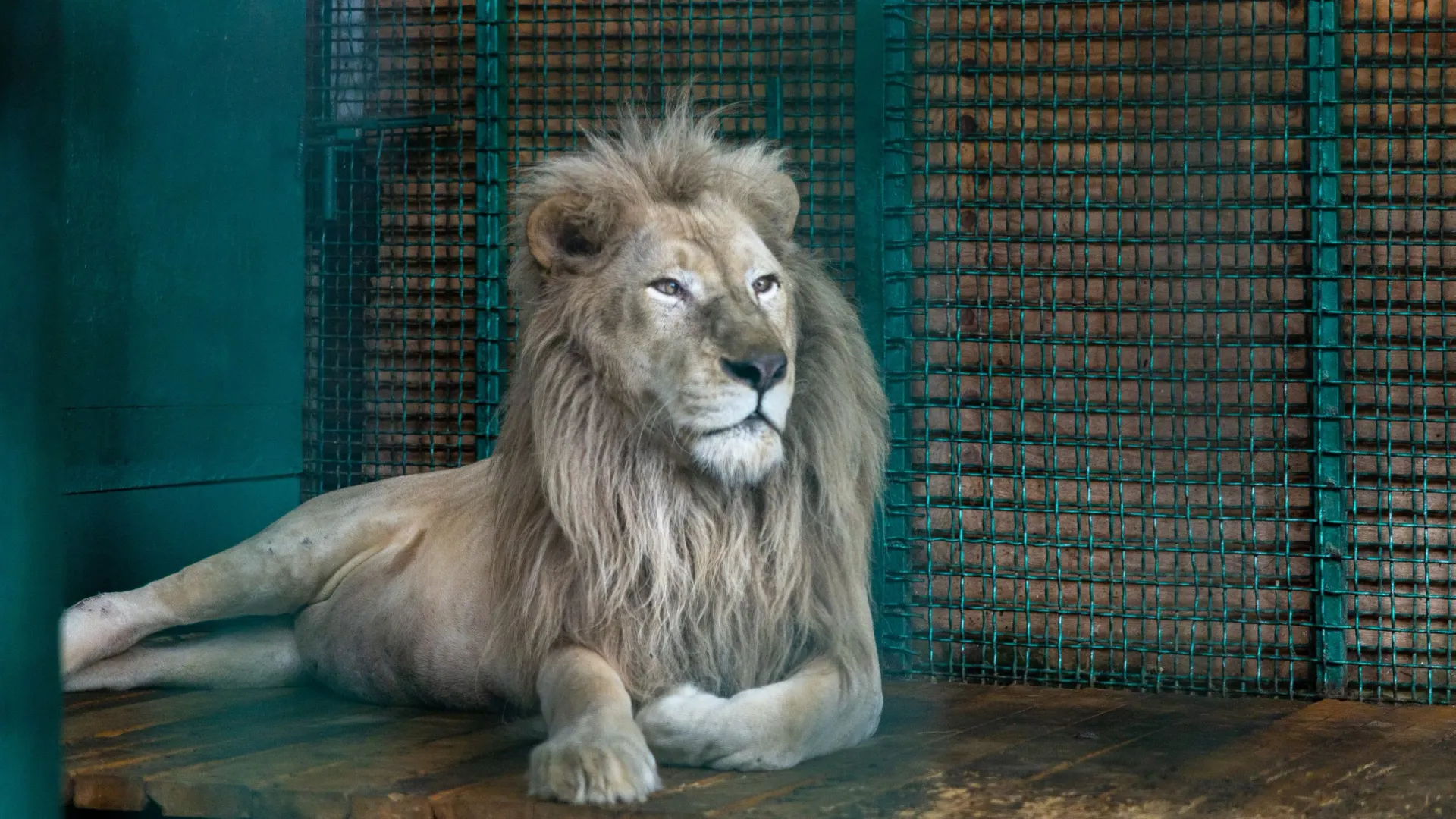 Фото: Федор Воронов/Shutterstock/Fotodom