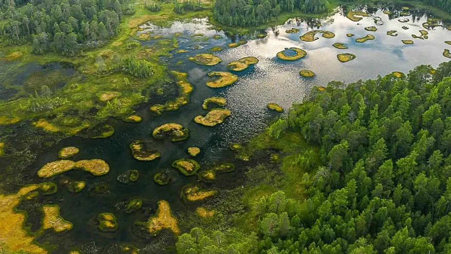 Фото из личного архива Данила Хусаинова