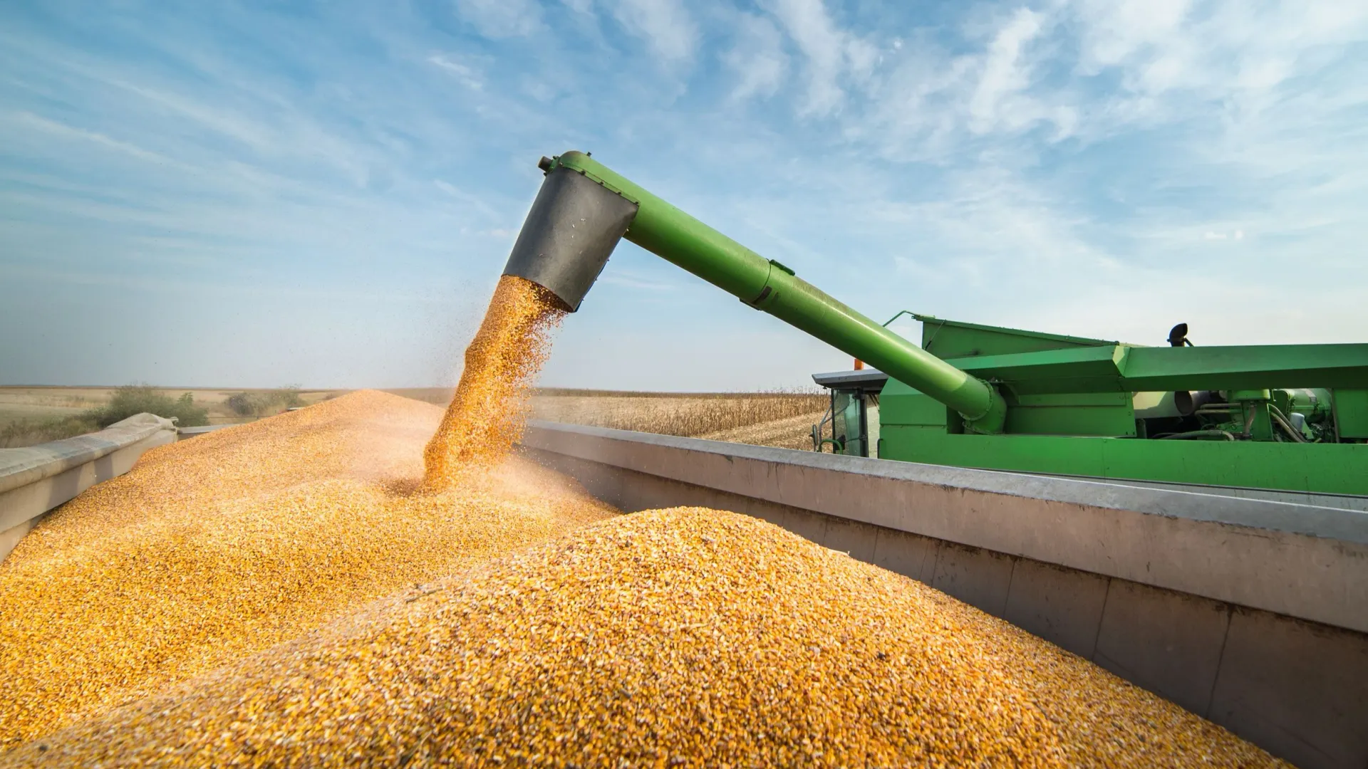 Фото: Fotokostic/Shutterstock/Fotodom