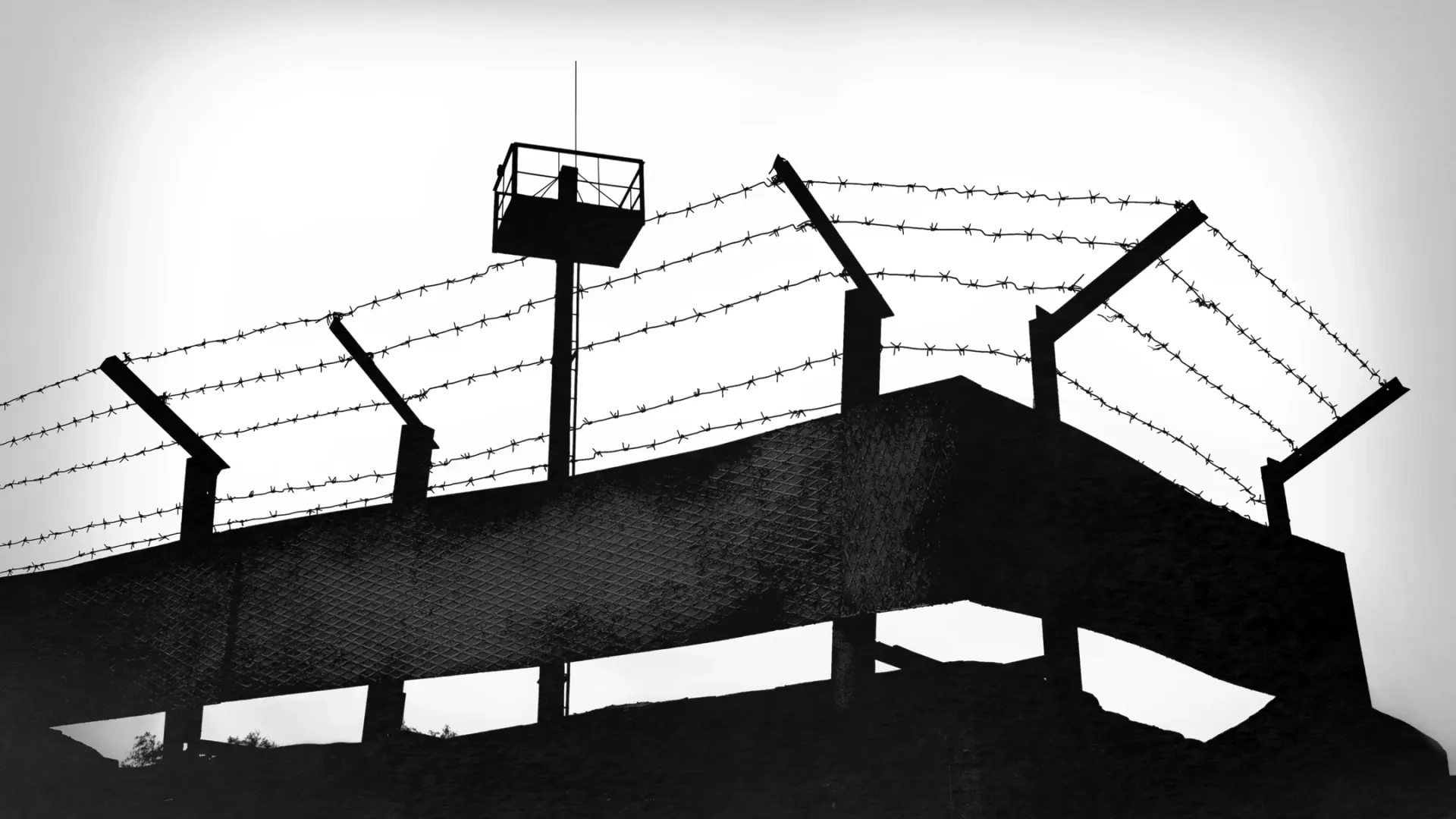 Фото: Gl0ck/Shutterstock/Fotodom