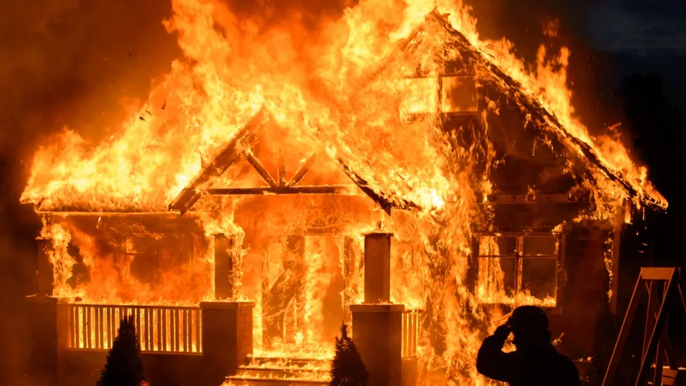 Фото: Gorb Andrii/Shutterstock