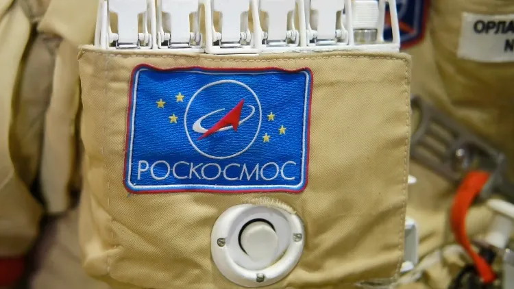 Фото: Zhuravlev Andrey/Shutterstock/Fotodom