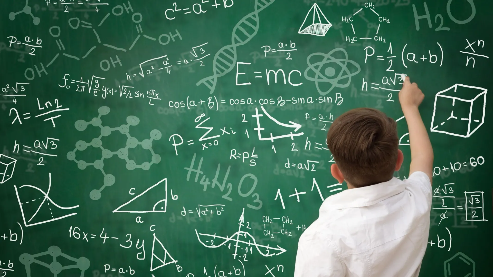 Фото: Cherries/Shutterstock/Fotodom