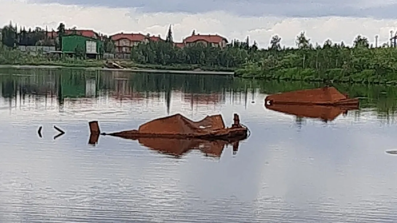 Фото: группа «ГОРОРО | Новый Уренгой» во «ВКонтакте»