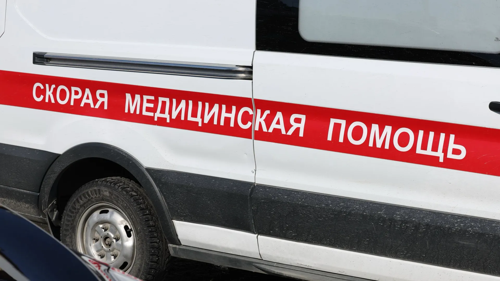 Фото: Андрей Ткачев/«Ямал-Медиа»