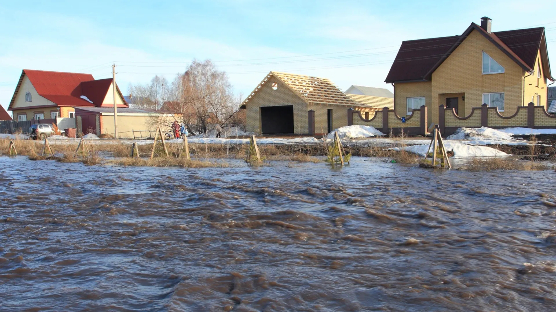 Фото: Matveychuk Anatoliy/Shutterstock/Fotodom