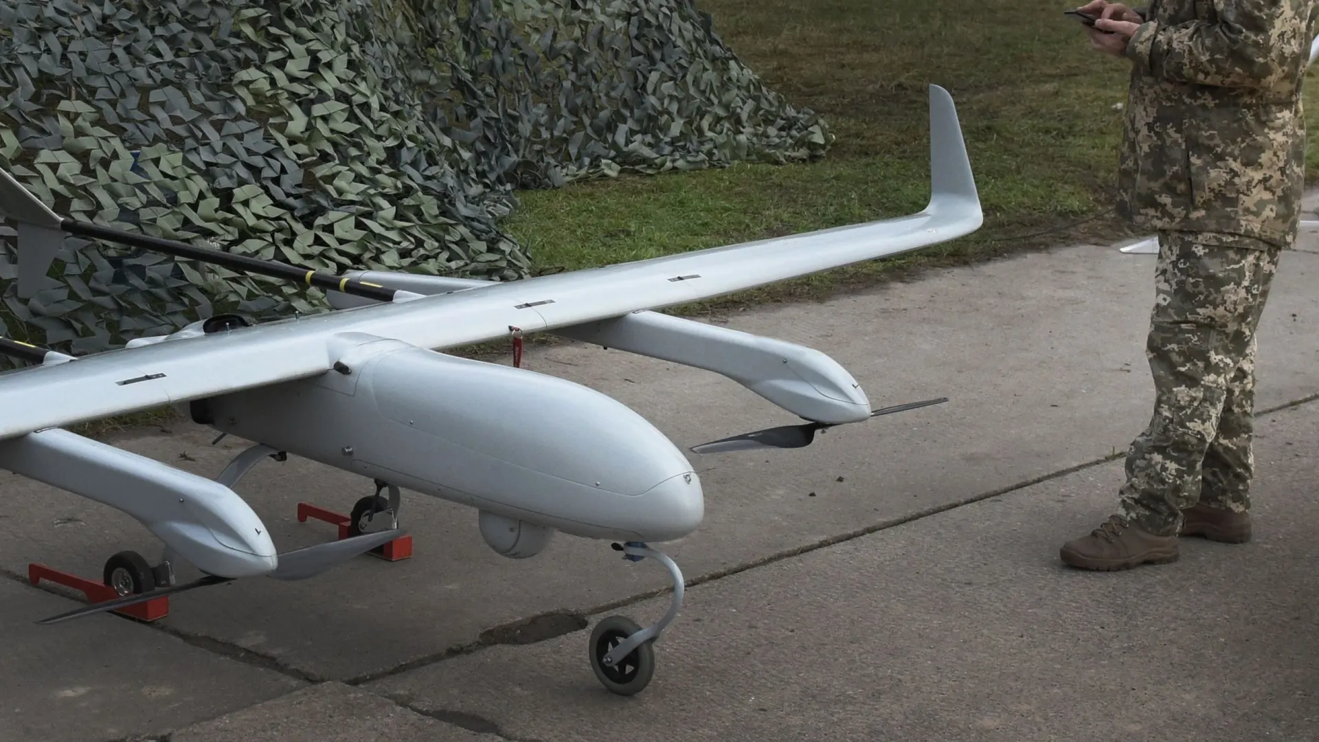 Фото: Bumble Dee/Shutterstock/Fotodom