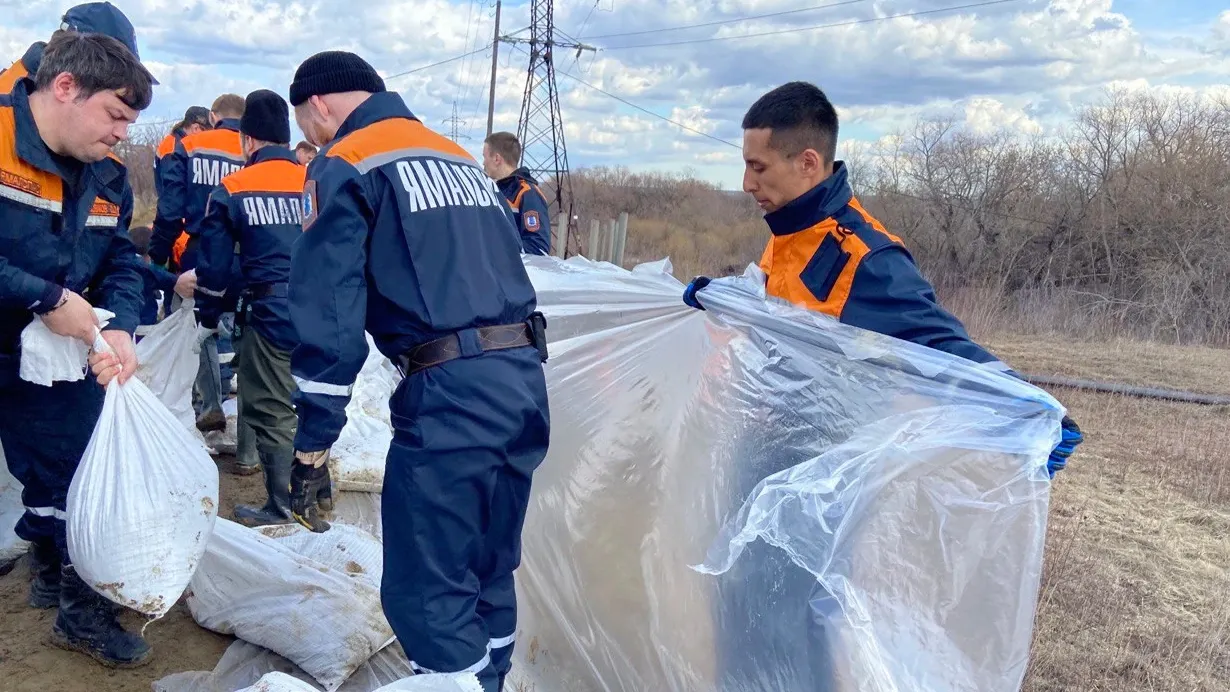 Фото: t.me/dgzipb