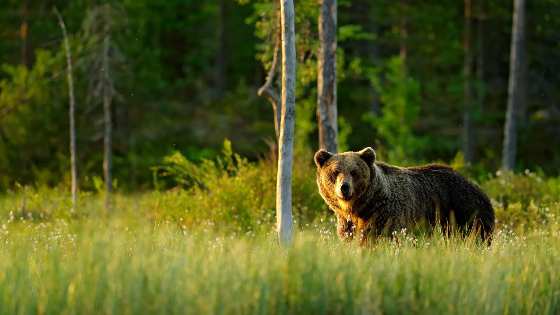 Фото: Ondrej Prosicky/Shutterstock/Fotodom