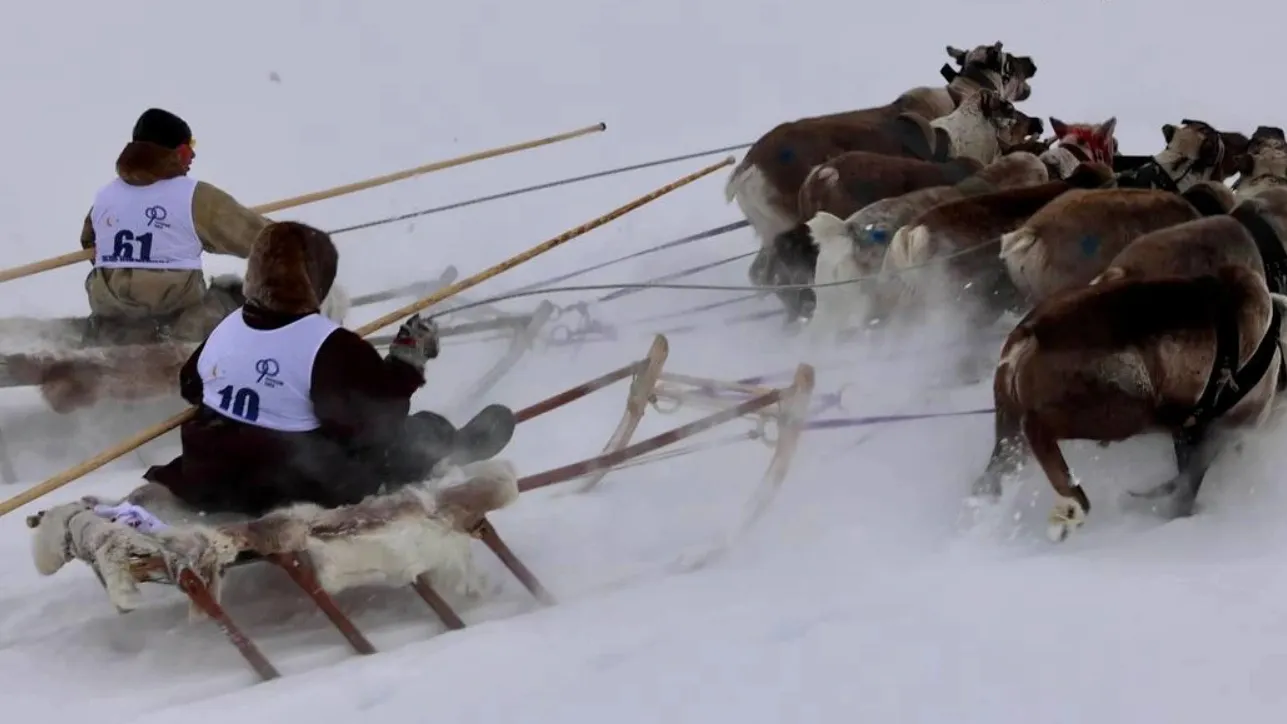 Фото: t.me/puradm