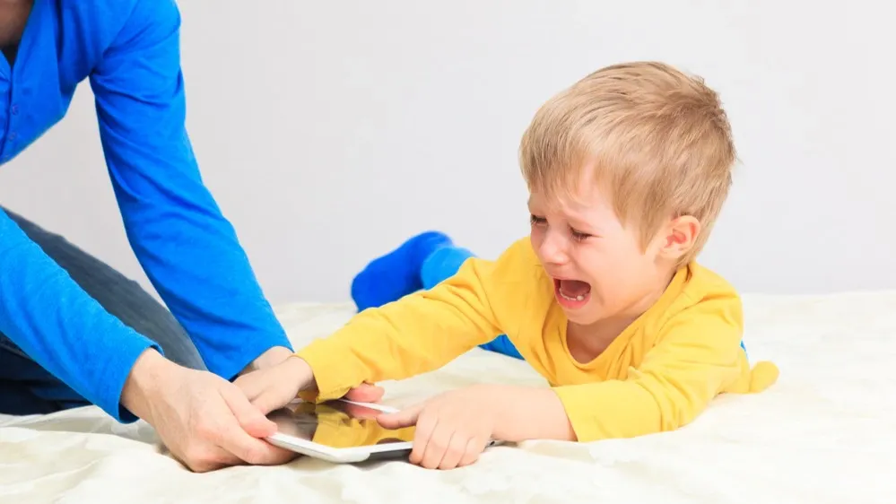 Фото: NadyaEugene/Shutterstock/Fotodom