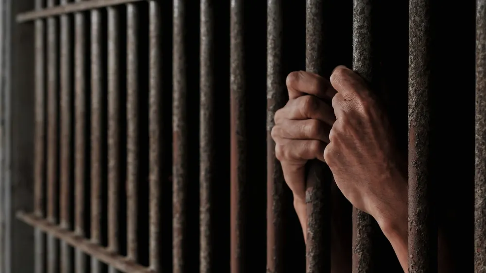 Фото: Ayox studio/Shutterstock/Fotodom