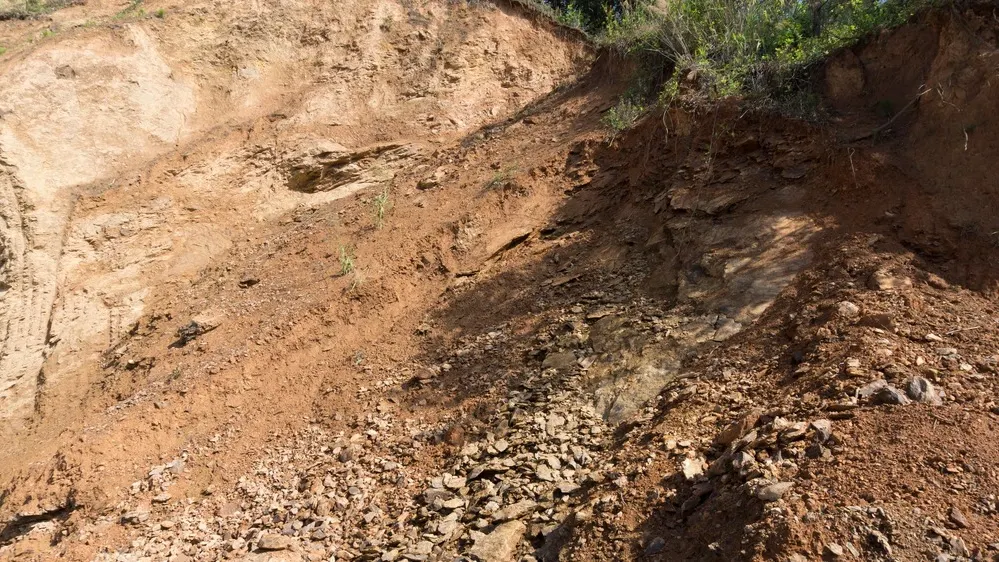 Фото: RPD PHOTO/Shutterstock/Fotodom