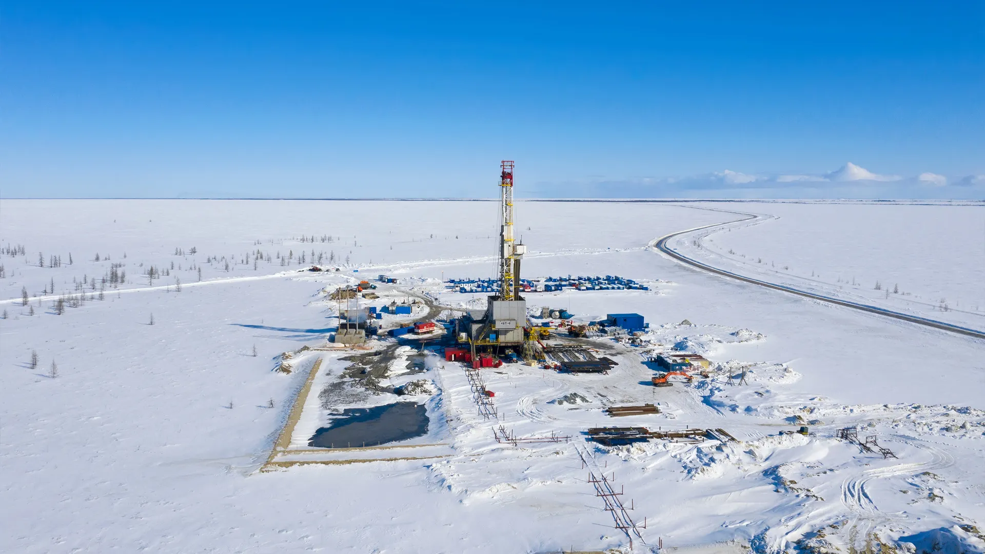 Фото: Grigorii Pisotsckii/Shutterstock.com