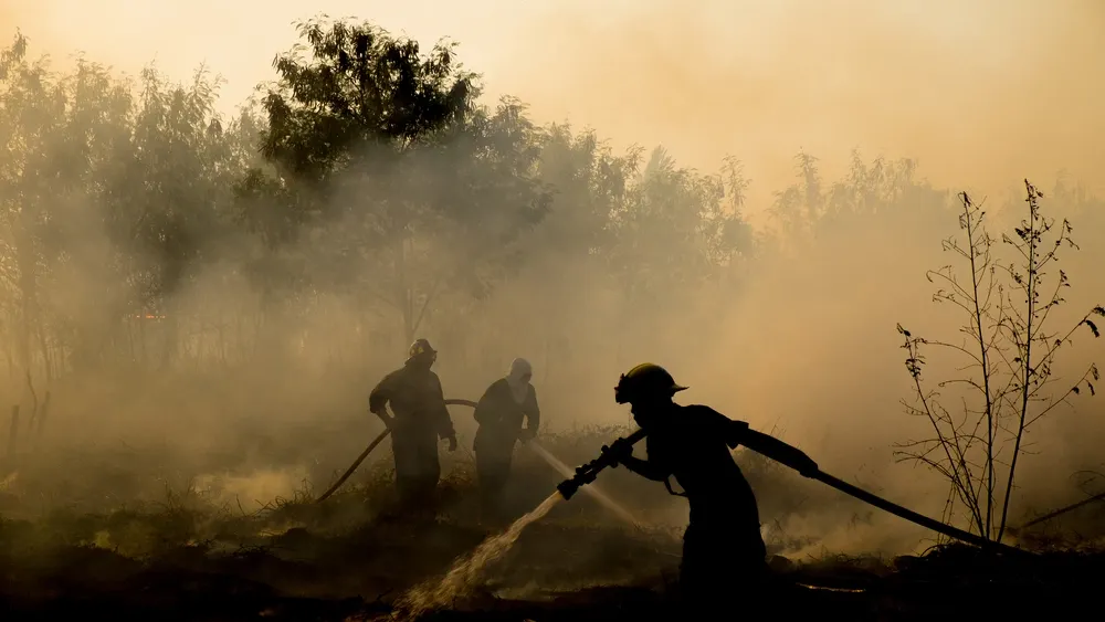 Фото: chuangz/Shutterstock