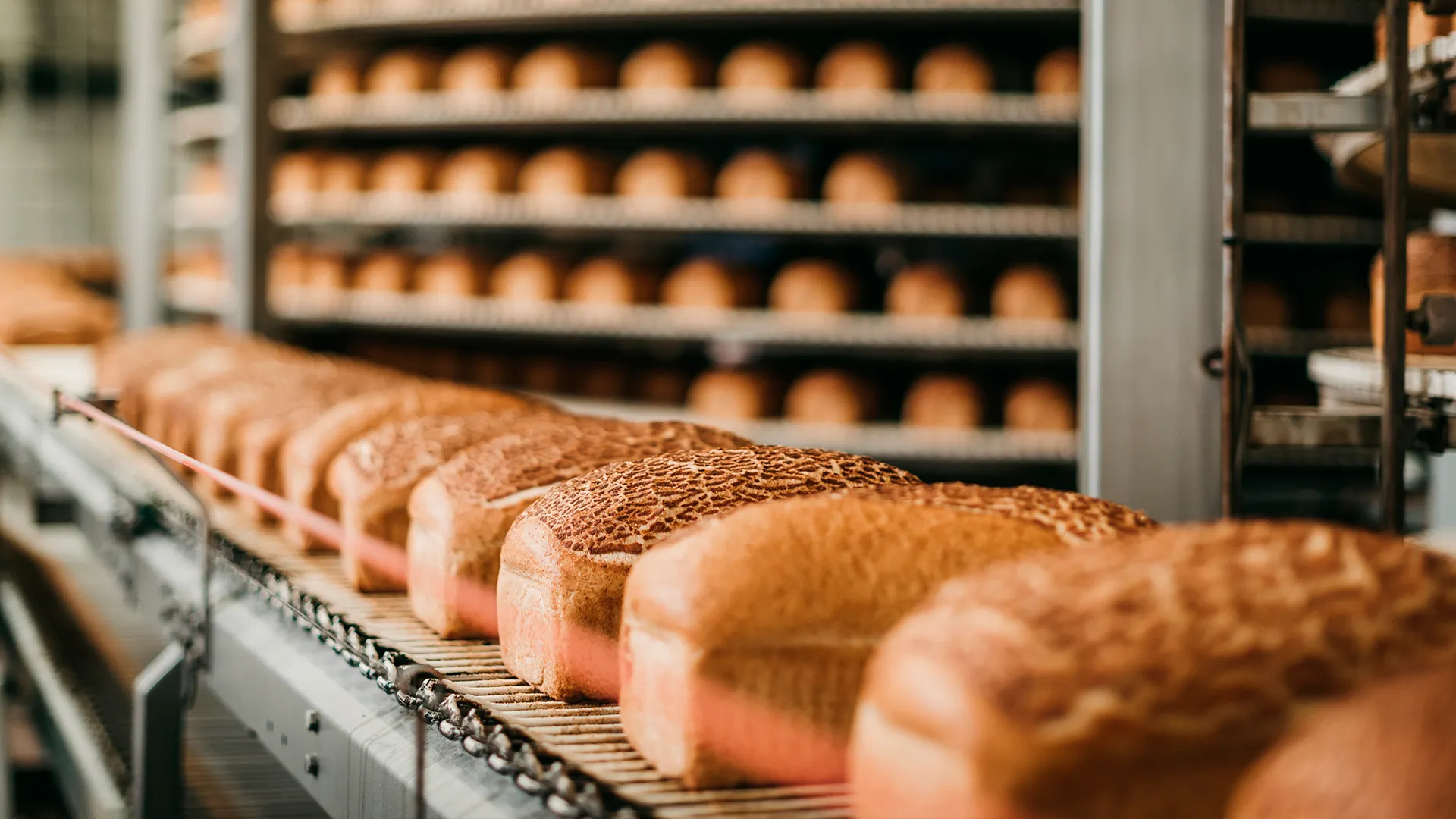 Фото: Nanderdewijk/shutterstock.com