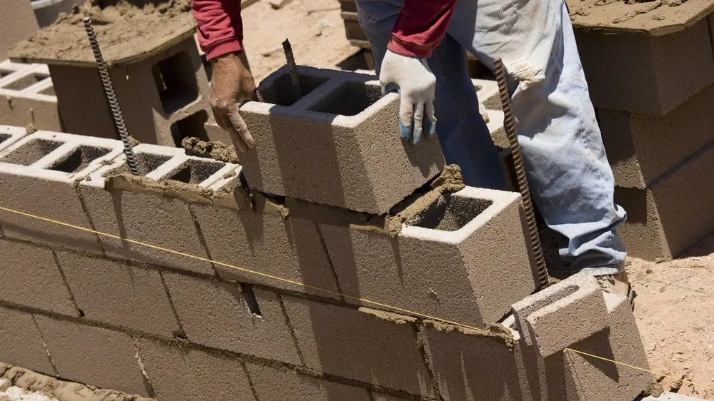 Фото: Lou Oates/Shutterstock/Fotodom