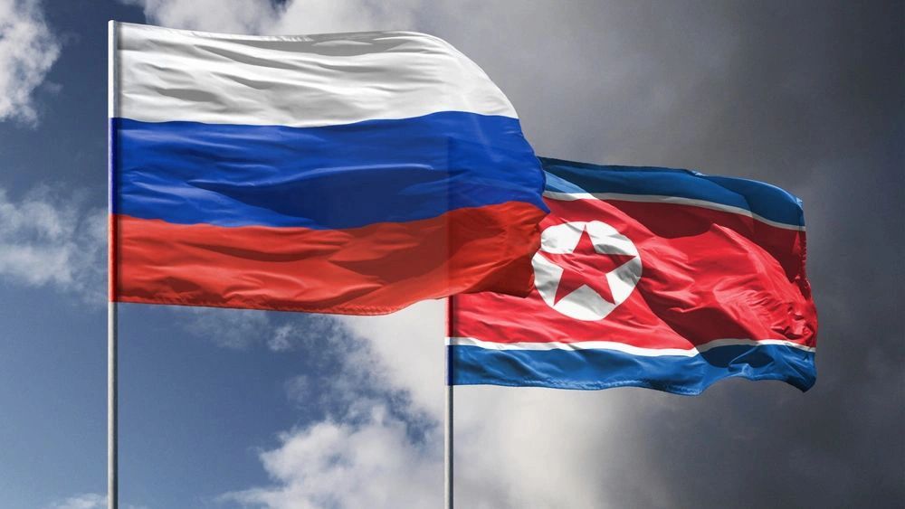 Минобороны: саперы КНДР помогают разминировать Курскую область