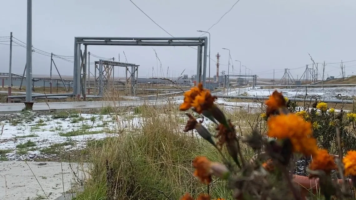 Фото: Мария Савельева/«Ямал-Медиа»