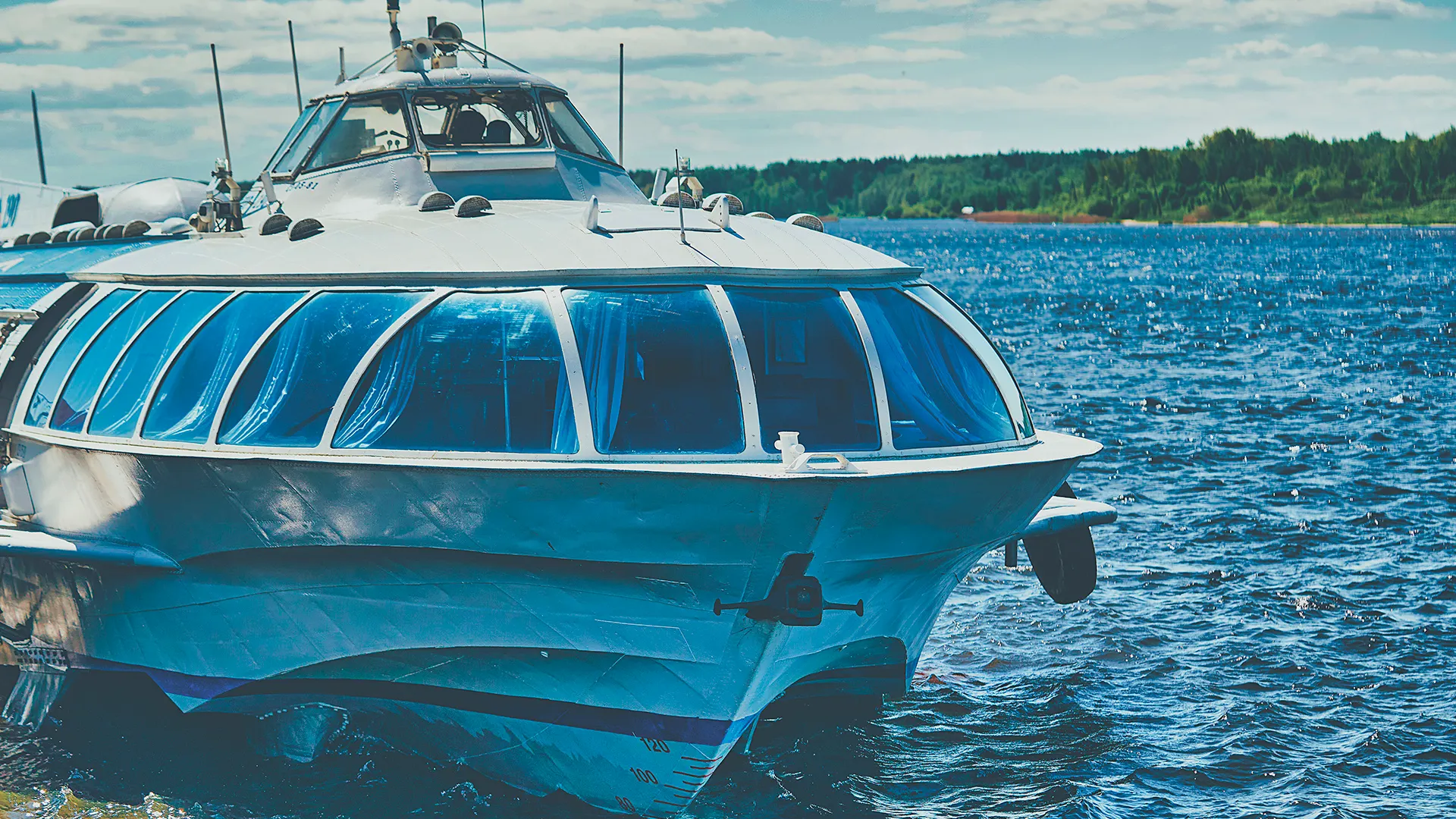 Фото: ZARIN ANDREY /Shutterstock.com