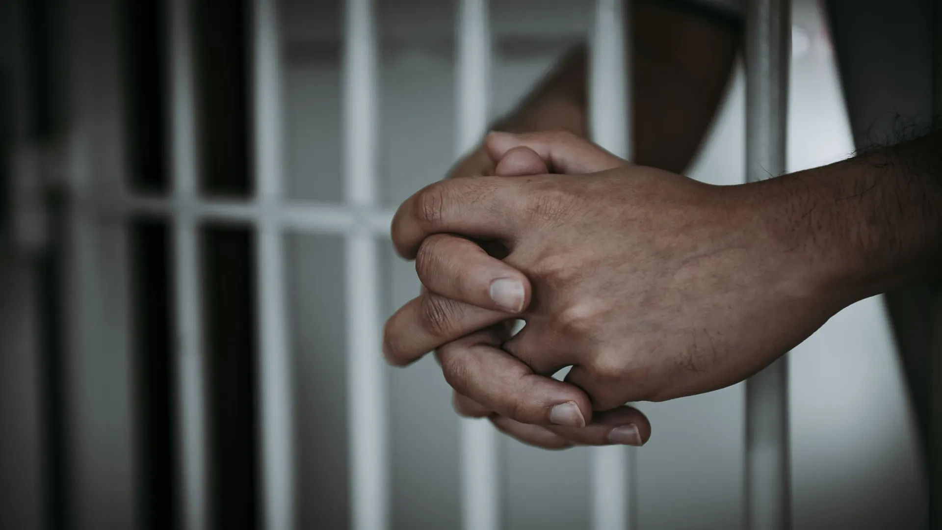 Фото: kittirat roekburi/Shutterstock/Fotodom