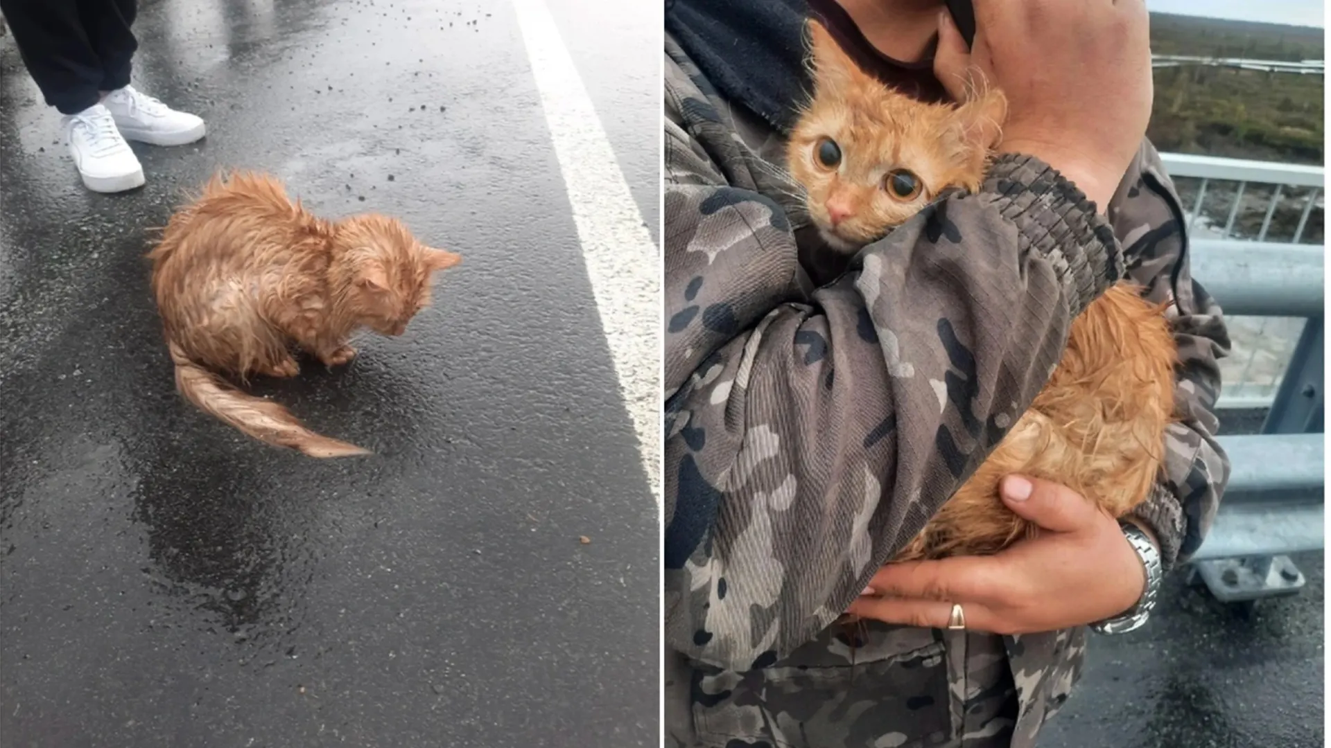 Фото: Полина Лебедева/vk.com/lbtinfo