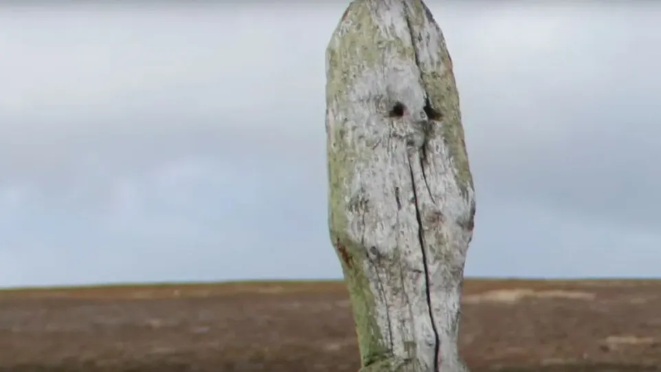 Фото: «Ямал-Медиа»/YouTube