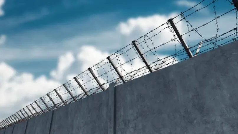 Фото: Marko Aliaksandr/Shutterstock/Fotodom