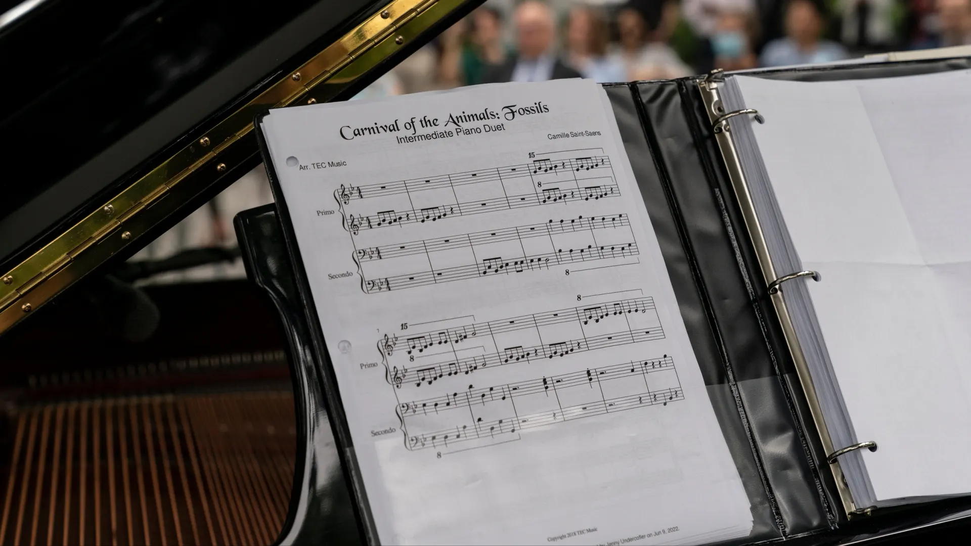 Фото: lev radin/Shutterstock/Fotodom