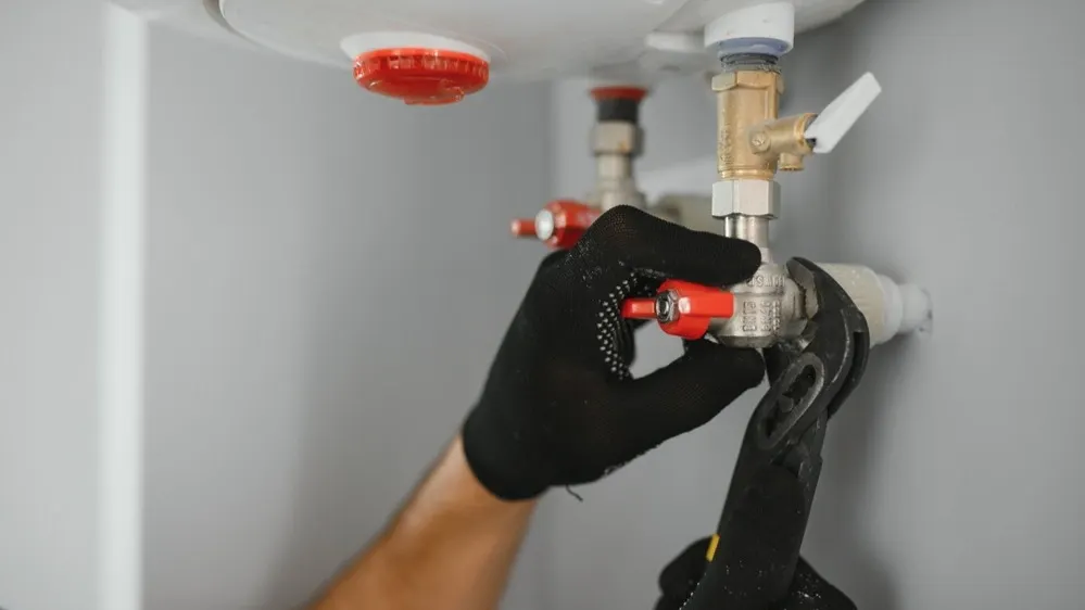 Фото: Hryshchyshen Serhii/Shutterstock/Fotodom