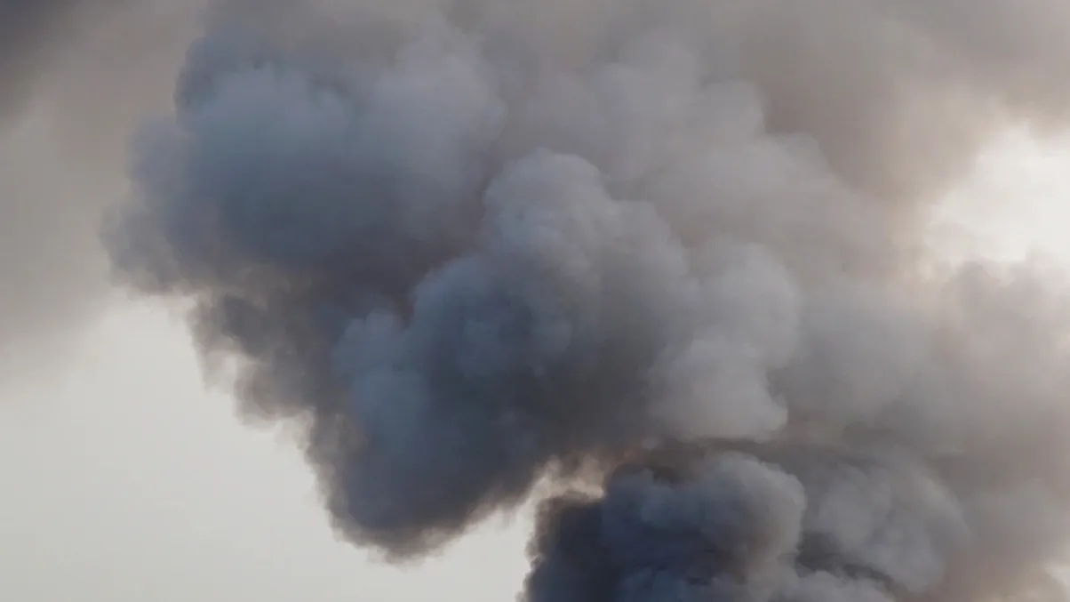 Фото: Somsit/Shutterstock/Fotodom