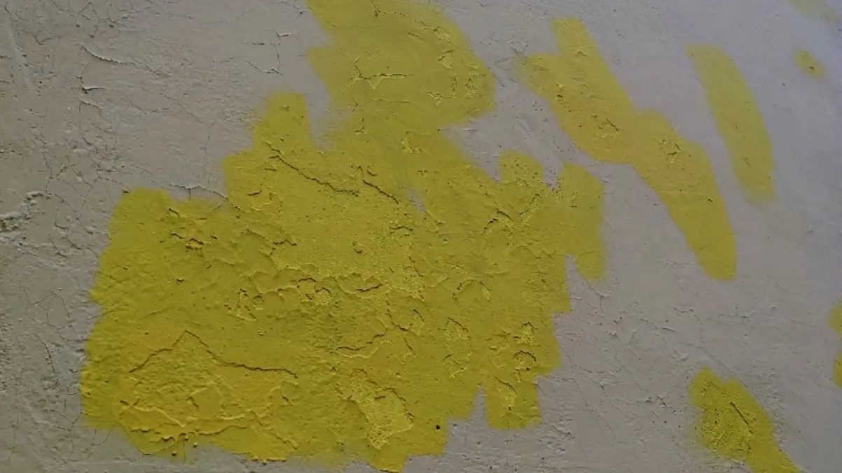 Фото: vk/Реальный Ноябрьск