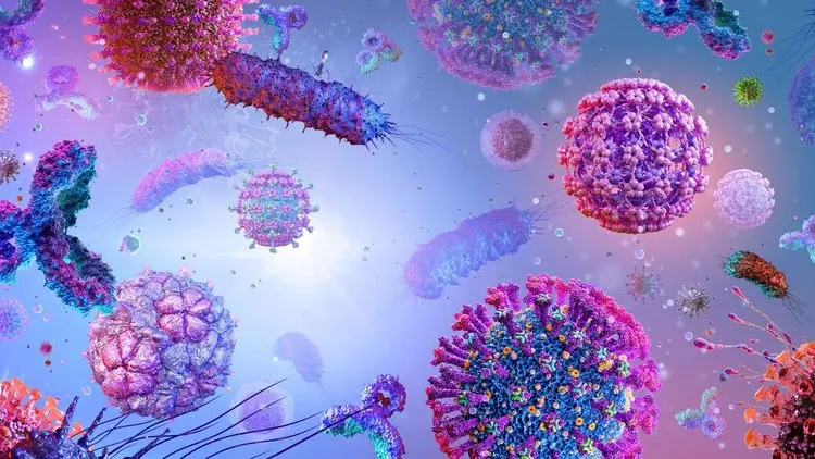 Фото: Corona Borealis Studio/Shutterstock/Fotodom