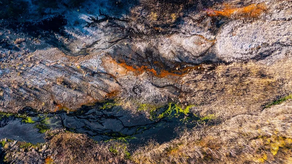 Фото: Vladimir Timofeev/shutterstock.com