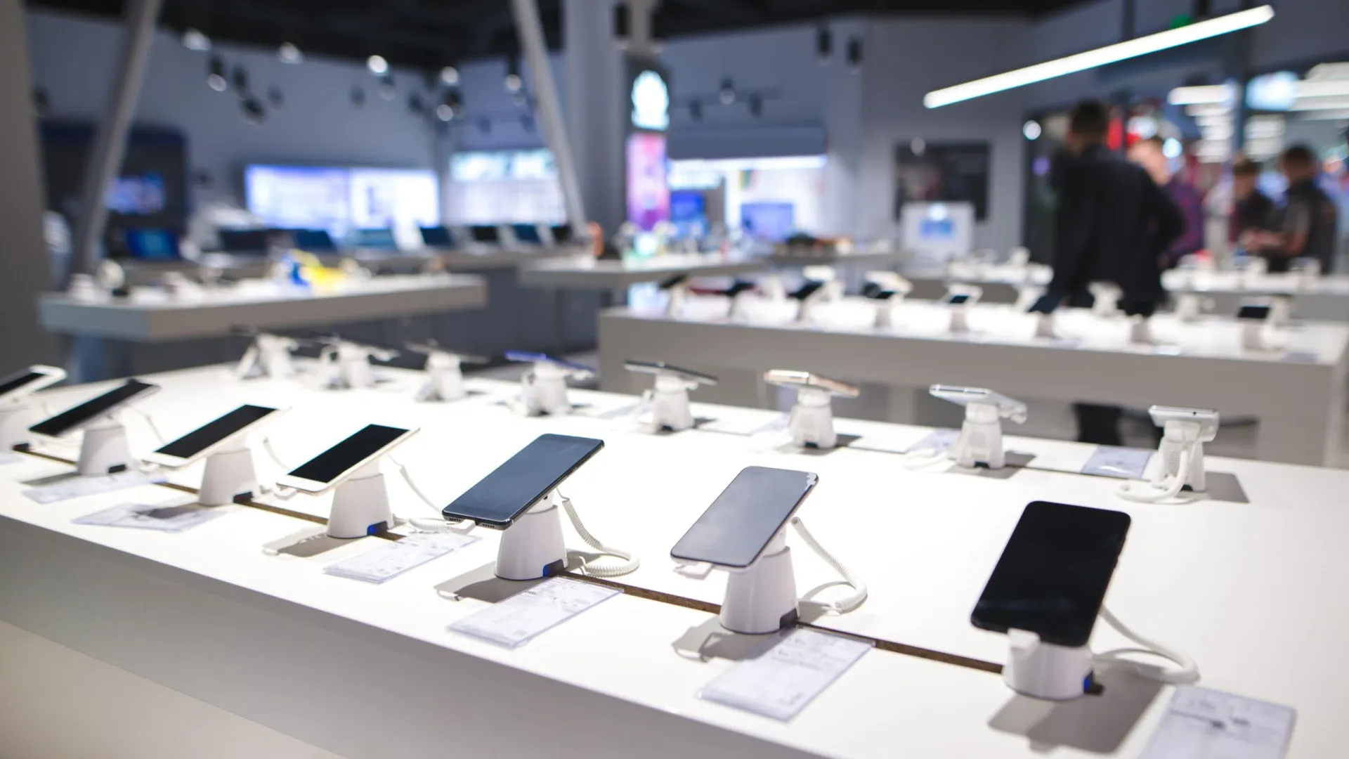 Фото: bodnar.photo/Shutterstock/Fotodom