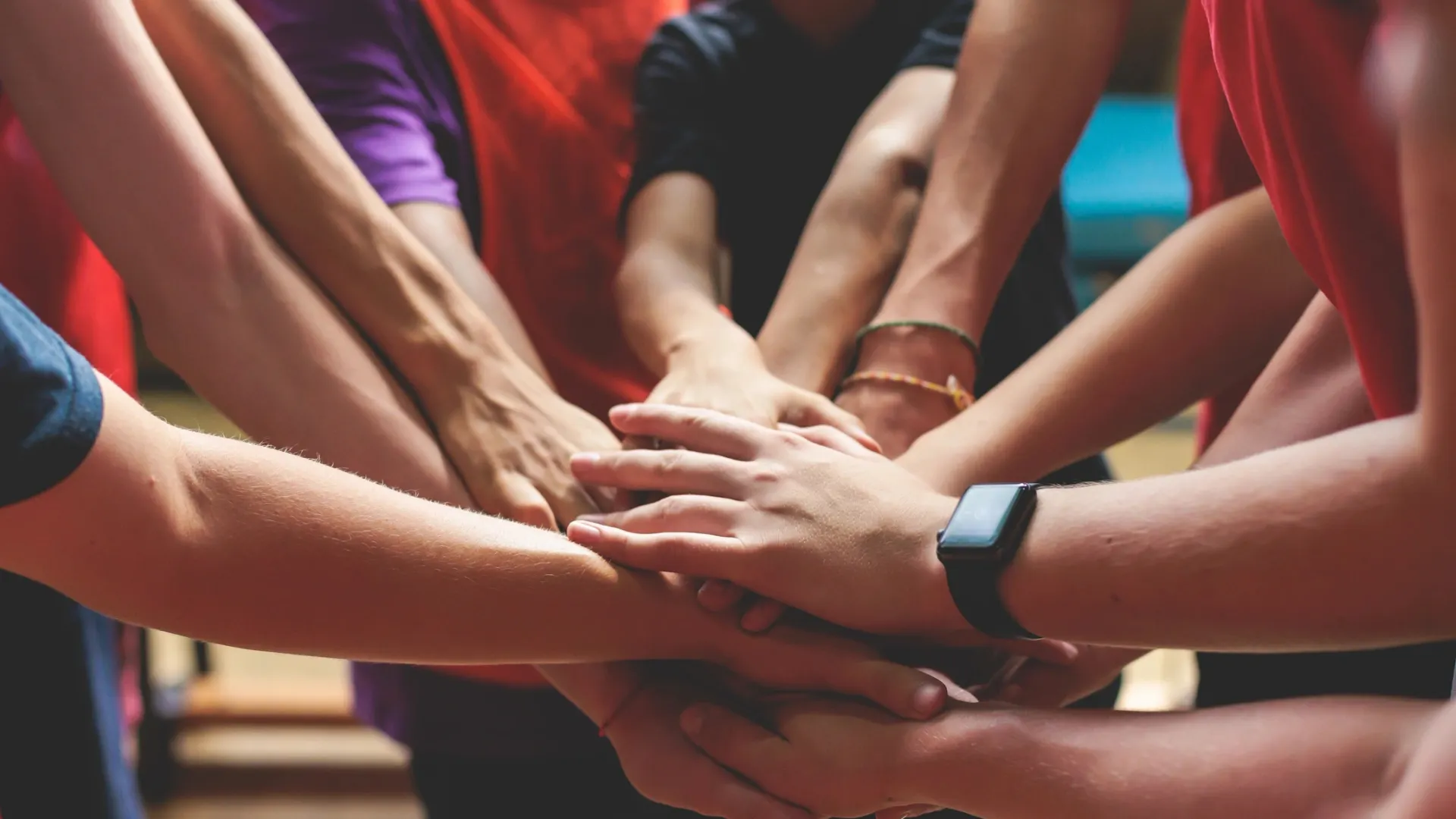 Фото: Tsuguliev/Shutterstock/Fotodom